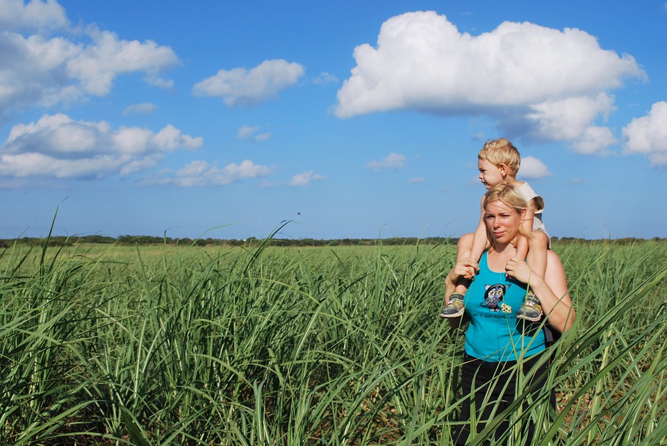 mother-2309512_960_720