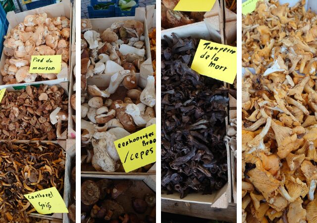 Wild mushrooms in the market