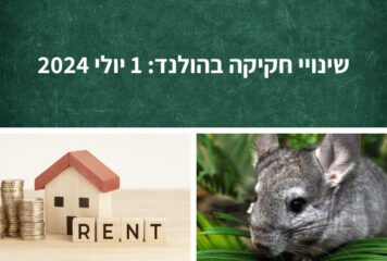 שינוי חקיקה בהולנד: מה השתנה באחד ביולי