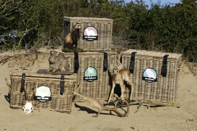 Spreekbeurtmanden (1)