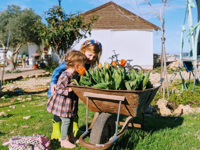 Tulpen Israel