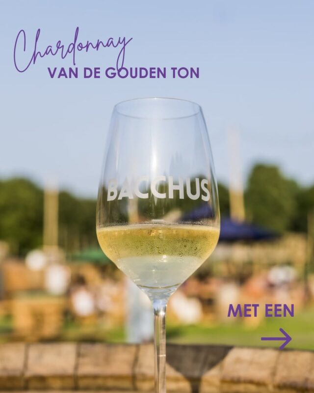 wine festival