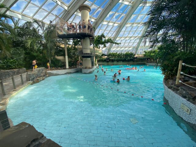 swimming