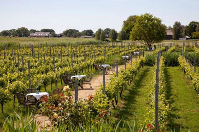Wijngaard de Amsteltuin