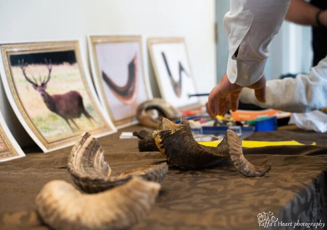Shofar